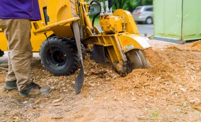 Stump Grinding and Land Leveling