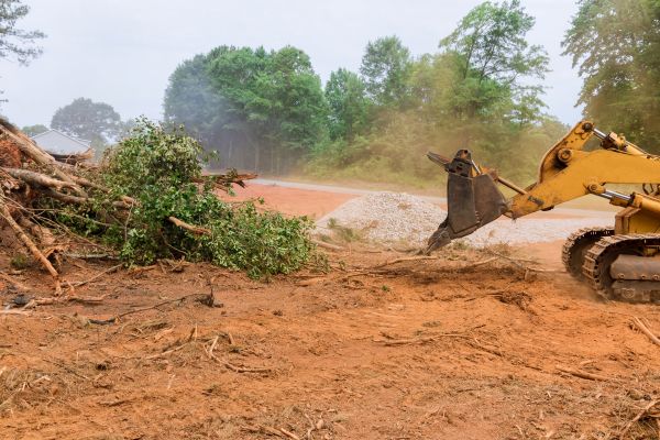 Cost of Forestry Mulching Service in Gig Harbor