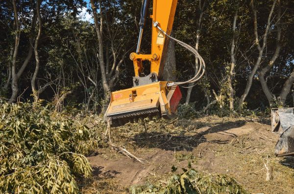 Brush Removal Service in Gig Harbor