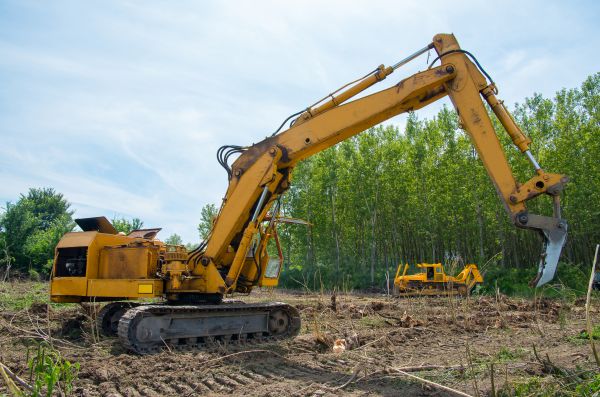 Farm Clearing in Gig Harbor