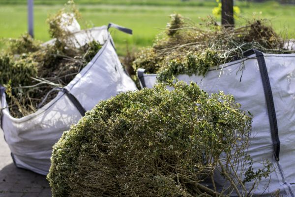 Cost of Bushes Clearing in Gig Harbor