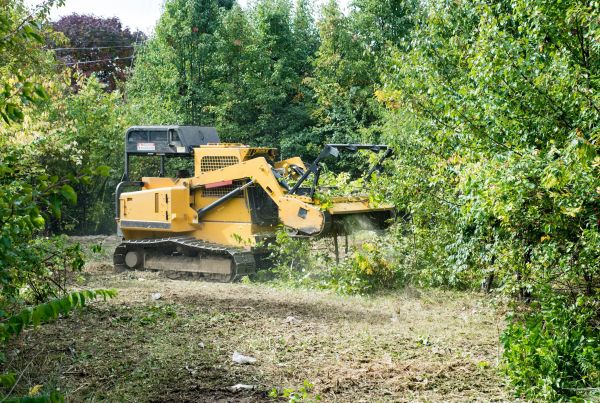 Pathway Clearing in Gig Harbor