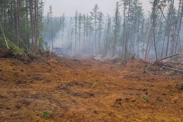 Hill Clearing in Gig Harbor